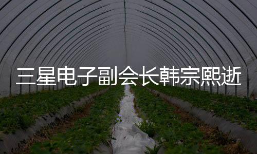 三星電子副會(huì)長(zhǎng)韓宗熙逝世，緬懷一位杰出的商業(yè)領(lǐng)袖