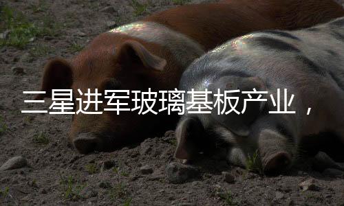 三星進軍玻璃基板產(chǎn)業(yè)，積極布局，開啟新篇章