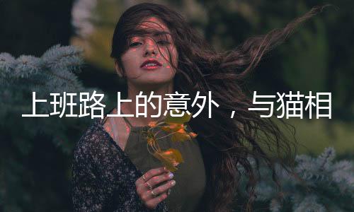 上班路上的意外，與貓相撞導(dǎo)致骨折