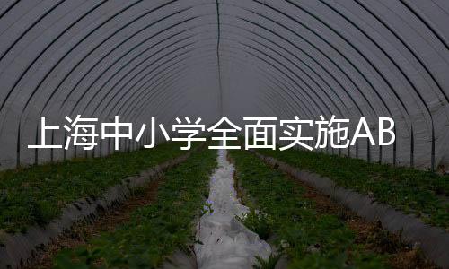 上海中小學(xué)全面實(shí)施AB制午餐模式，打造健康校園餐飲新篇章