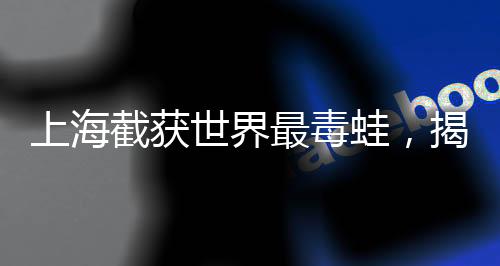 上海截獲世界最毒蛙，揭秘這一重大發(fā)現(xiàn)背后的故事