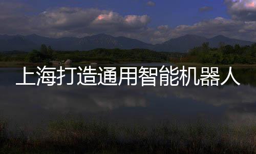 上海打造通用智能機(jī)器人產(chǎn)業(yè)制高點(diǎn)