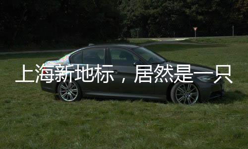 上海新地標(biāo)，居然是一只哈士奇，引領(lǐng)城市時(shí)尚潮流新篇章