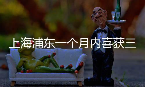 上海浦東一個(gè)月內(nèi)喜獲三個(gè)彩票大獎(jiǎng)，彩票行業(yè)備受關(guān)注熱議不斷！揭秘中獎(jiǎng)背后的小幸運(yùn)和大夢(mèng)想！