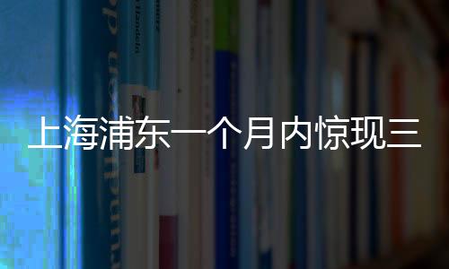 上海浦東一個(gè)月內(nèi)驚現(xiàn)三大樂(lè)透大獎(jiǎng)，幸運(yùn)兒究竟是誰(shuí)？