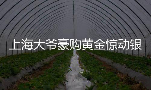 上海大爺豪購黃金驚動銀行，背后故事揭秘