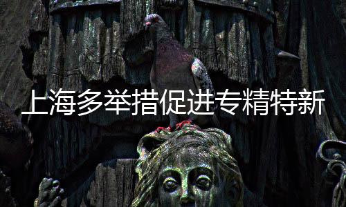 上海多舉措促進(jìn)專(zhuān)精特新中小企業(yè)發(fā)展壯大  大模型等加速其成長(zhǎng)