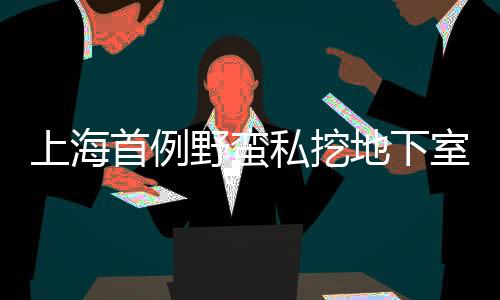 上海首例野蠻私挖地下室入刑事件全程解析