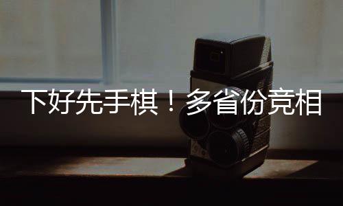 下好先手棋！多省份競(jìng)相布局AI