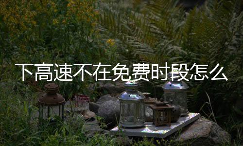 下高速不在免費時段怎么辦？交警支招