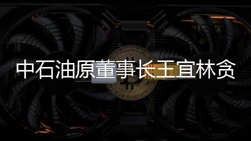 中石油原董事長王宜林貪污3501萬受審紀實