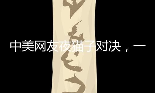 中美網(wǎng)友夜貓子對決，一夜的經(jīng)濟(jì)對賬與交流