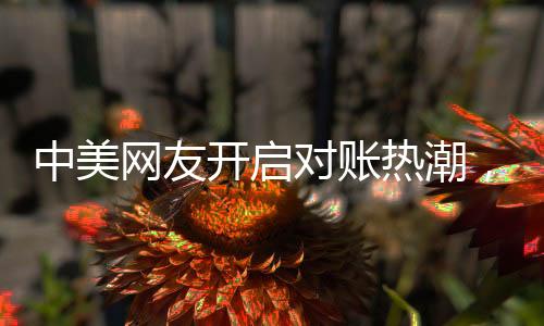 中美網(wǎng)友開啟對賬熱潮，一場跨洋的云端交流風(fēng)暴