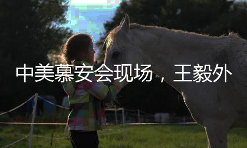 中美慕安會(huì)現(xiàn)場(chǎng)，王毅外交魅力閃耀，萬斯遭遇冷場(chǎng)