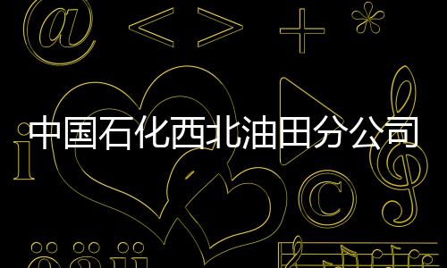 中國石化西北油田分公司原副總經理秦強運接受審查調查