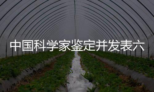 中國科學家鑒定并發(fā)表六個南極細菌新屬，揭示地球最冷地區(qū)的生命奧秘