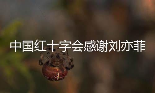 中國(guó)紅十字會(huì)感謝劉亦菲捐贈(zèng)取暖火爐，冬日暖流傳遍人心