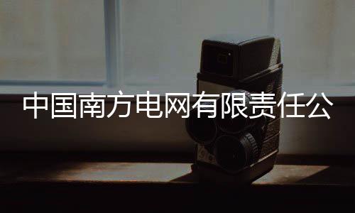 中國南方電網(wǎng)有限責(zé)任公司原黨組成員、紀(jì)檢監(jiān)察組組長龍飛受賄案一審開庭