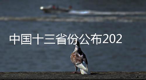 中國十三省份公布2024年人口數(shù)量預(yù)測，區(qū)域差異與挑戰(zhàn)