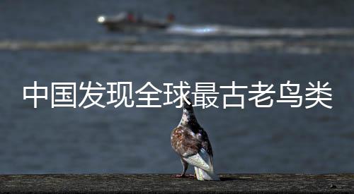 中國(guó)發(fā)現(xiàn)全球最古老鳥(niǎo)類(lèi)“政和八閩鳥(niǎo)” 改寫(xiě)鳥(niǎo)類(lèi)演化史