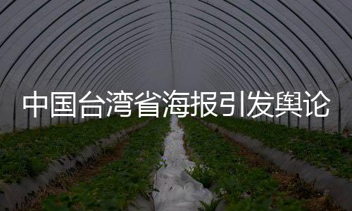 中國臺灣省海報引發(fā)輿論風暴，民進黨當局破防應對