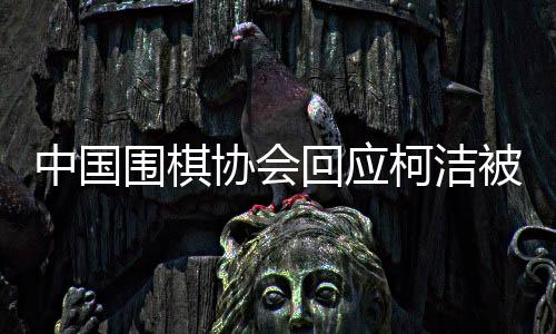 中國圍棋協(xié)會回應(yīng)柯潔被判負(fù)事件