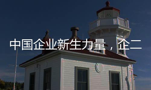 中國(guó)企業(yè)新生力量，企二代正式接力