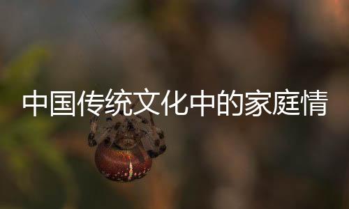 中國傳統(tǒng)文化中的家庭情懷，過年為什么要走親戚