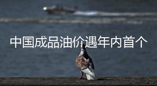 中國(guó)成品油價(jià)遇年內(nèi)首個(gè)“三連跌”