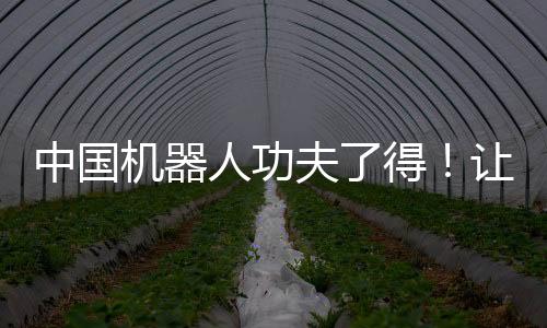 中國機(jī)器人功夫了得！讓美媒“驚掉下巴”