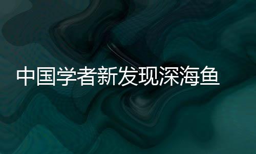 中國(guó)學(xué)者新發(fā)現(xiàn)深海魚 命名為《幽靈公主》女主名字
