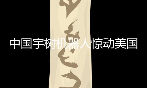 中國宇樹機(jī)器人驚動美國 波士頓動力果斷購買一探究竟