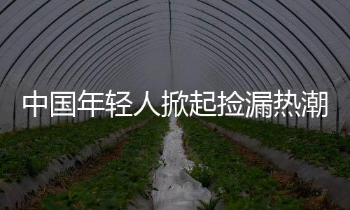 中國年輕人掀起撿漏熱潮，日本低價(jià)中古屋成新寵