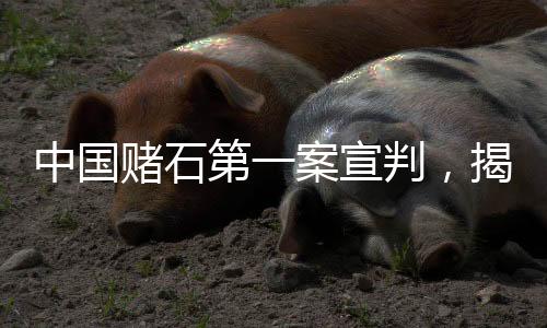 中國(guó)賭石第一案宣判，揭開(kāi)賭石黑幕，維護(hù)行業(yè)秩序