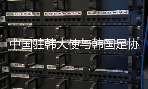 中國駐韓大使與韓國足協(xié)主席會(huì)面，深化文體交流，共謀雙邊關(guān)系新篇章