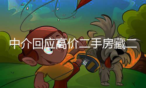 中介回應(yīng)高價二手房藏二十年租約之謎，詳盡解讀交易風(fēng)險及應(yīng)對策略