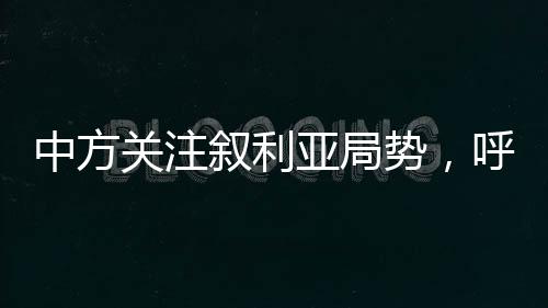 中方關(guān)注敘利亞局勢，呼吁各方保持克制，推動政治解決危機(jī)