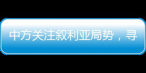 中方關注敘利亞局勢，尋求持久和平的解決之道