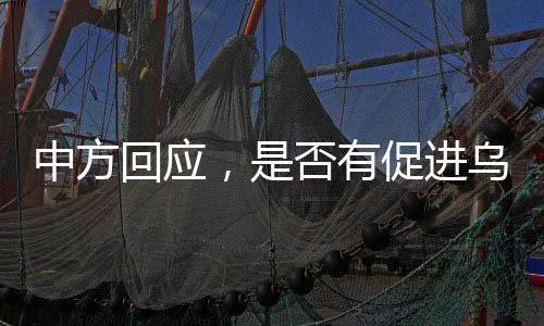 中方回應(yīng)，是否有促進烏克蘭和平新計劃