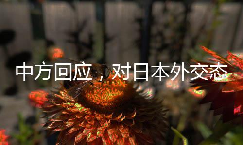 中方回應，對日本外交態(tài)度將更加嚴厲