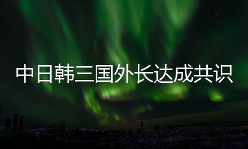 中日韓三國(guó)外長(zhǎng)達(dá)成共識(shí)，攜手應(yīng)對(duì)全球性挑戰(zhàn)，區(qū)域安全穩(wěn)定邁出關(guān)鍵一步
