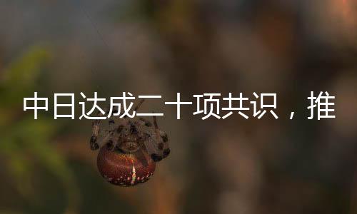 中日達(dá)成二十項(xiàng)共識(shí)，推動(dòng)兩國(guó)關(guān)系進(jìn)一步深入發(fā)展
