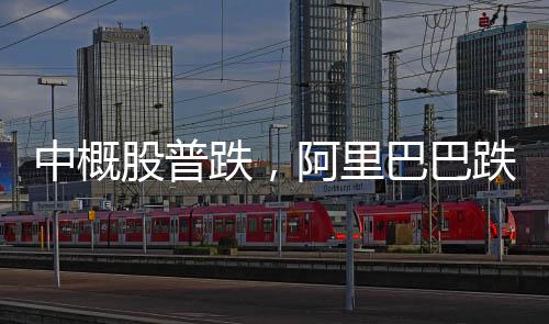 中概股普跌，阿里巴巴跌逾10%，市場波動下的行業(yè)分析