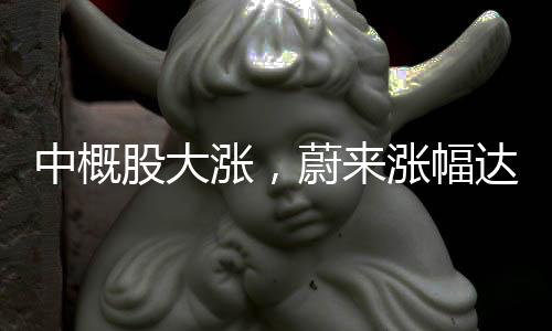 中概股大漲，蔚來漲幅達(dá)10.54%，市場(chǎng)迎來新一輪繁榮