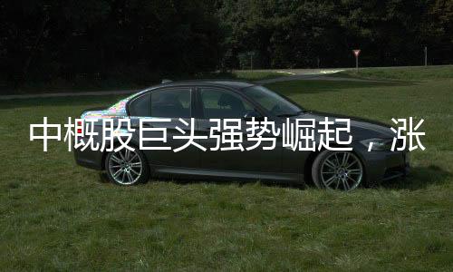 中概股巨頭強勢崛起，漲幅一度超過900%的報道