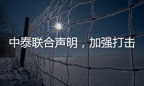 中泰聯(lián)合聲明，加強(qiáng)打擊人口販運(yùn)