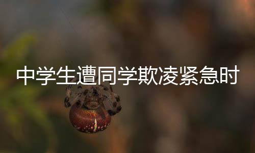 中學(xué)生遭同學(xué)欺凌緊急時刻被勇敢市民救下