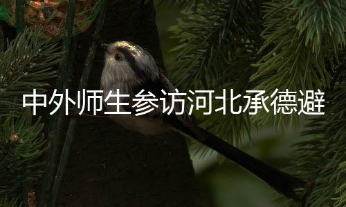 中外師生參訪河北承德避暑山莊 感受民族交融歷史印記