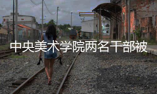 中央美術(shù)學(xué)院兩名干部被查，警示教育再度敲響警鐘