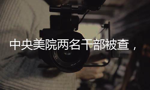 中央美院兩名干部被查，一人主動投案——紀委反腐行動揭秘